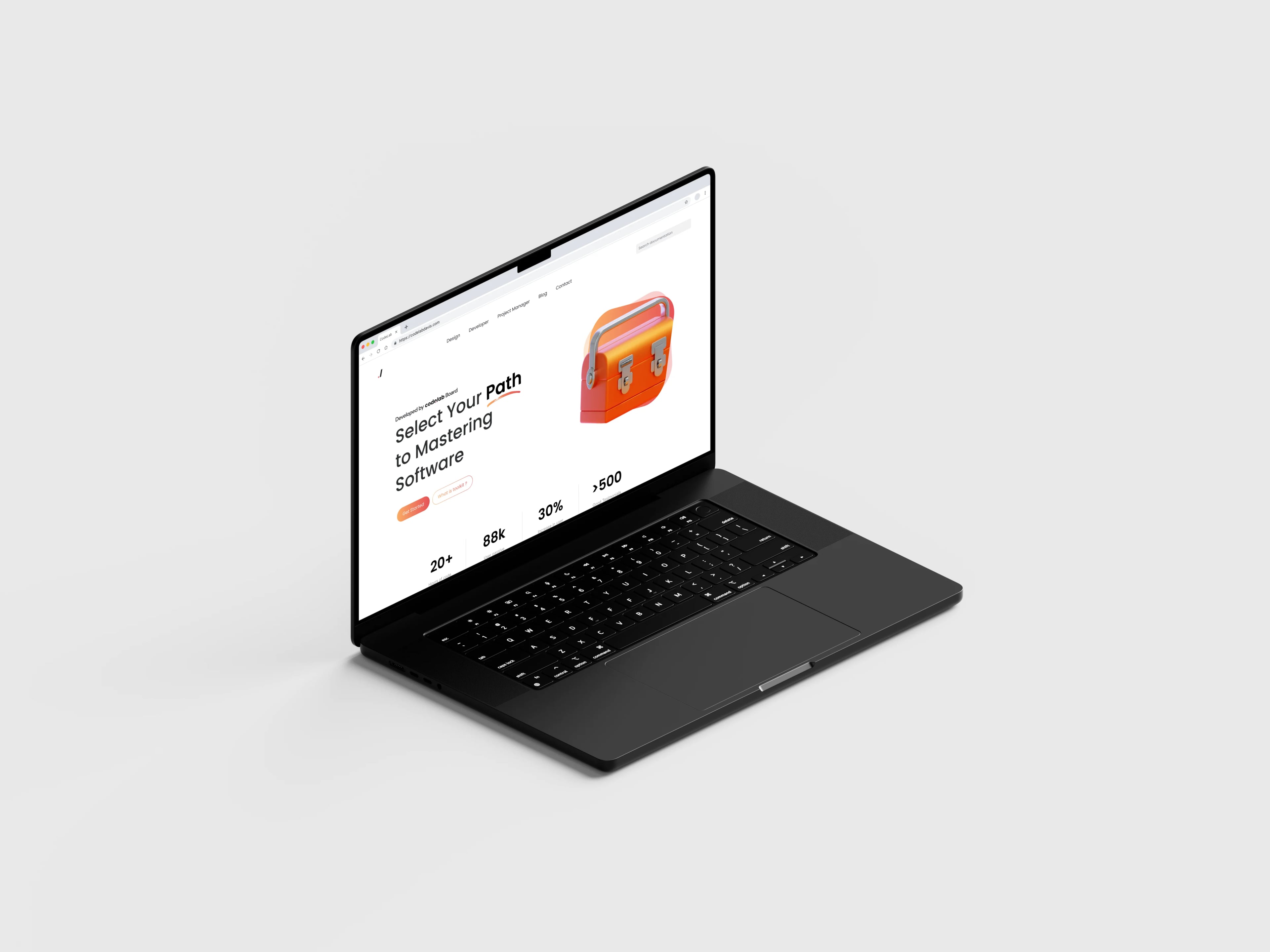 Project showcase